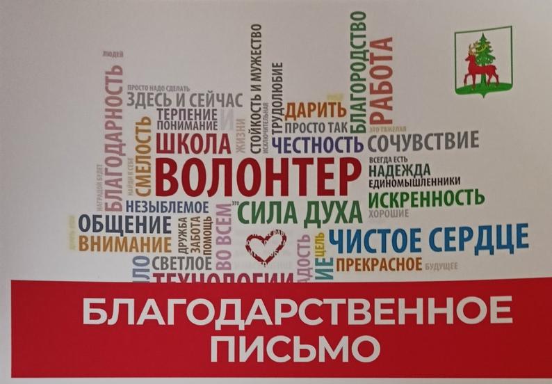 Доброволец года